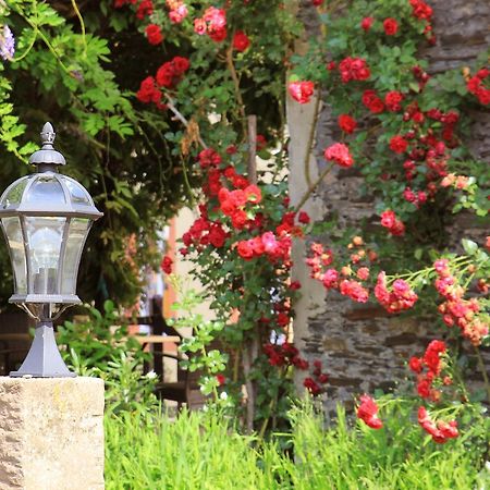 Pension Martinerhof Wintrich Dış mekan fotoğraf