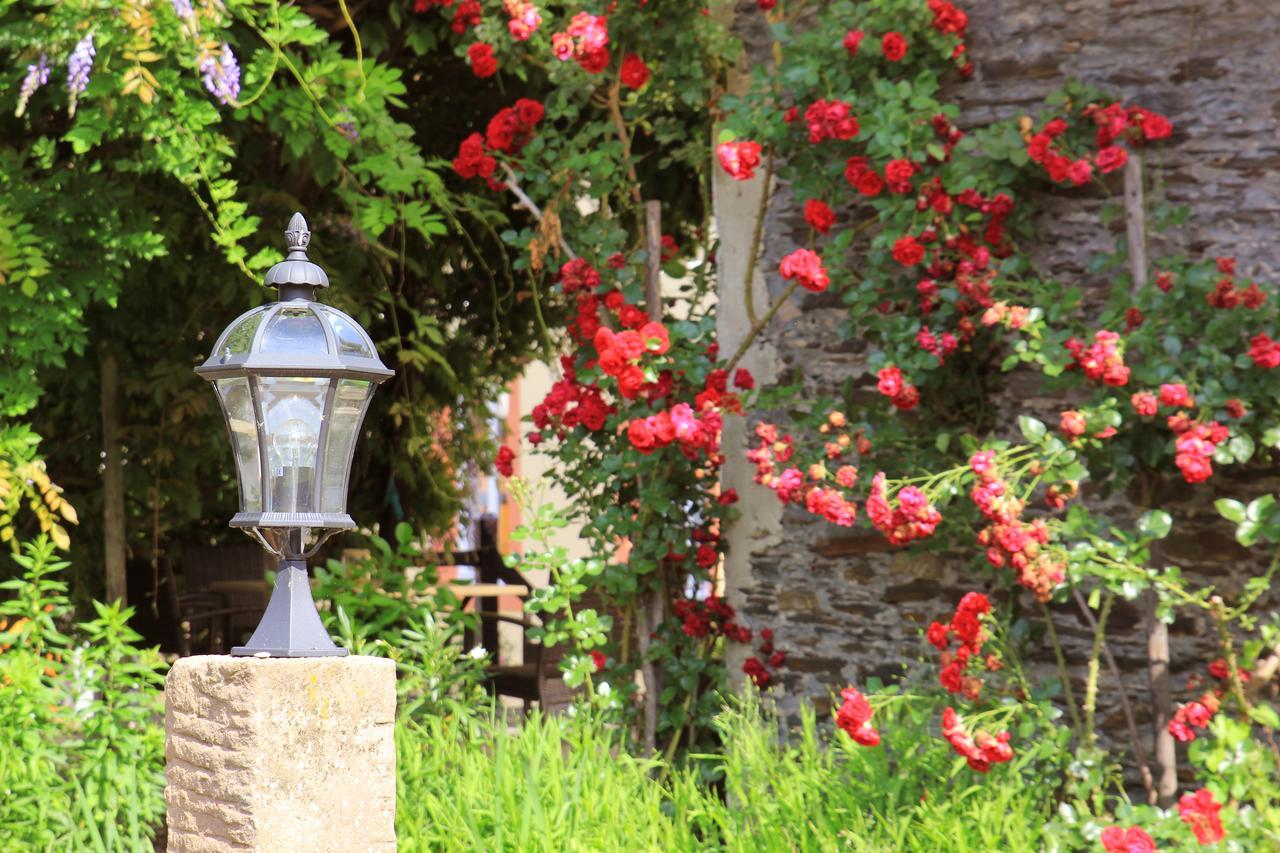 Pension Martinerhof Wintrich Dış mekan fotoğraf